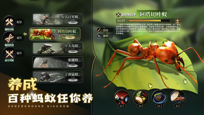 小小蚁国破解版下载安装