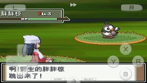 口袋妖怪白金手机版汉化版v1.0.7