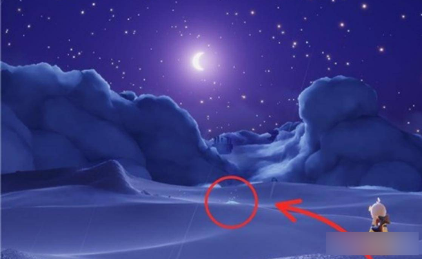 光遇星光沙漠玫瑰位置一览