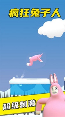 疯狂兔子人双人联机版